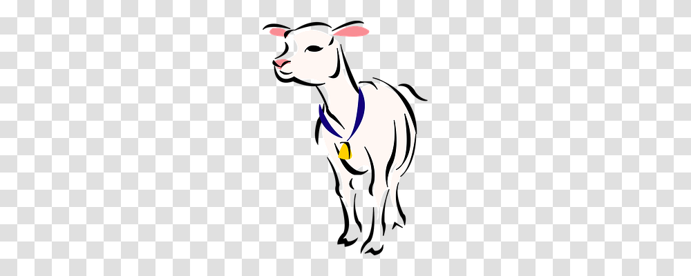 Lamb Animals, Person, Light, People Transparent Png