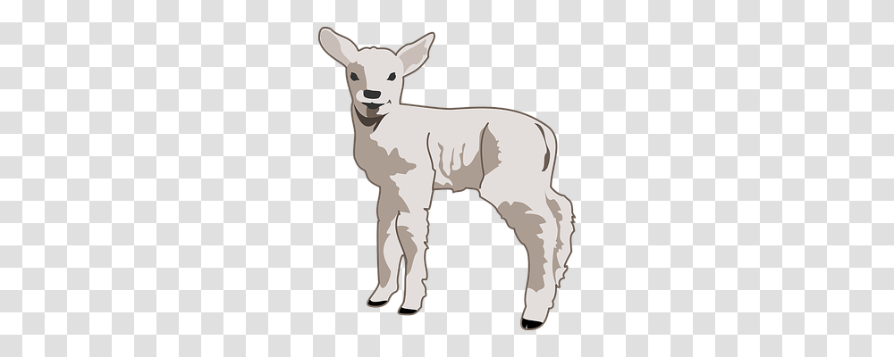 Lamb Animals, Mammal, Goat, Sheep Transparent Png