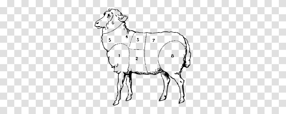 Lamb Food, Pet, Animal, Cat Transparent Png