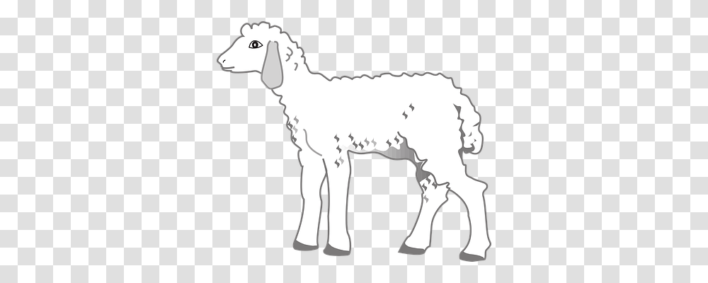 Lamb Animals, Mammal, Wolf, Sheep Transparent Png