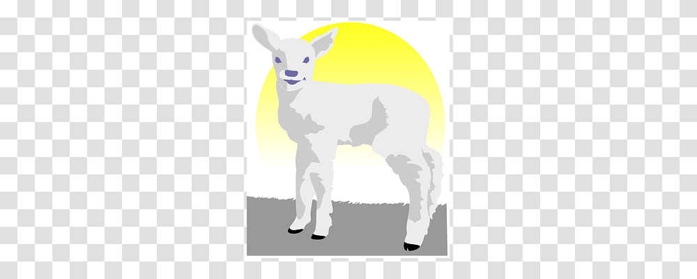 Lamb Mammal, Animal, Sheep, Goat Transparent Png