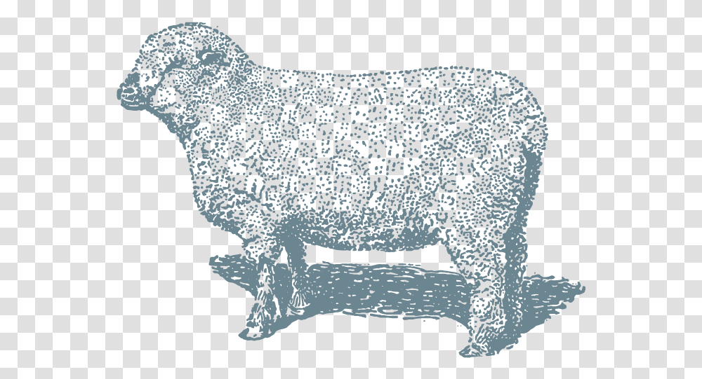 Lamb 8x10 Sheep, Mammal, Animal, Panther, Wildlife Transparent Png