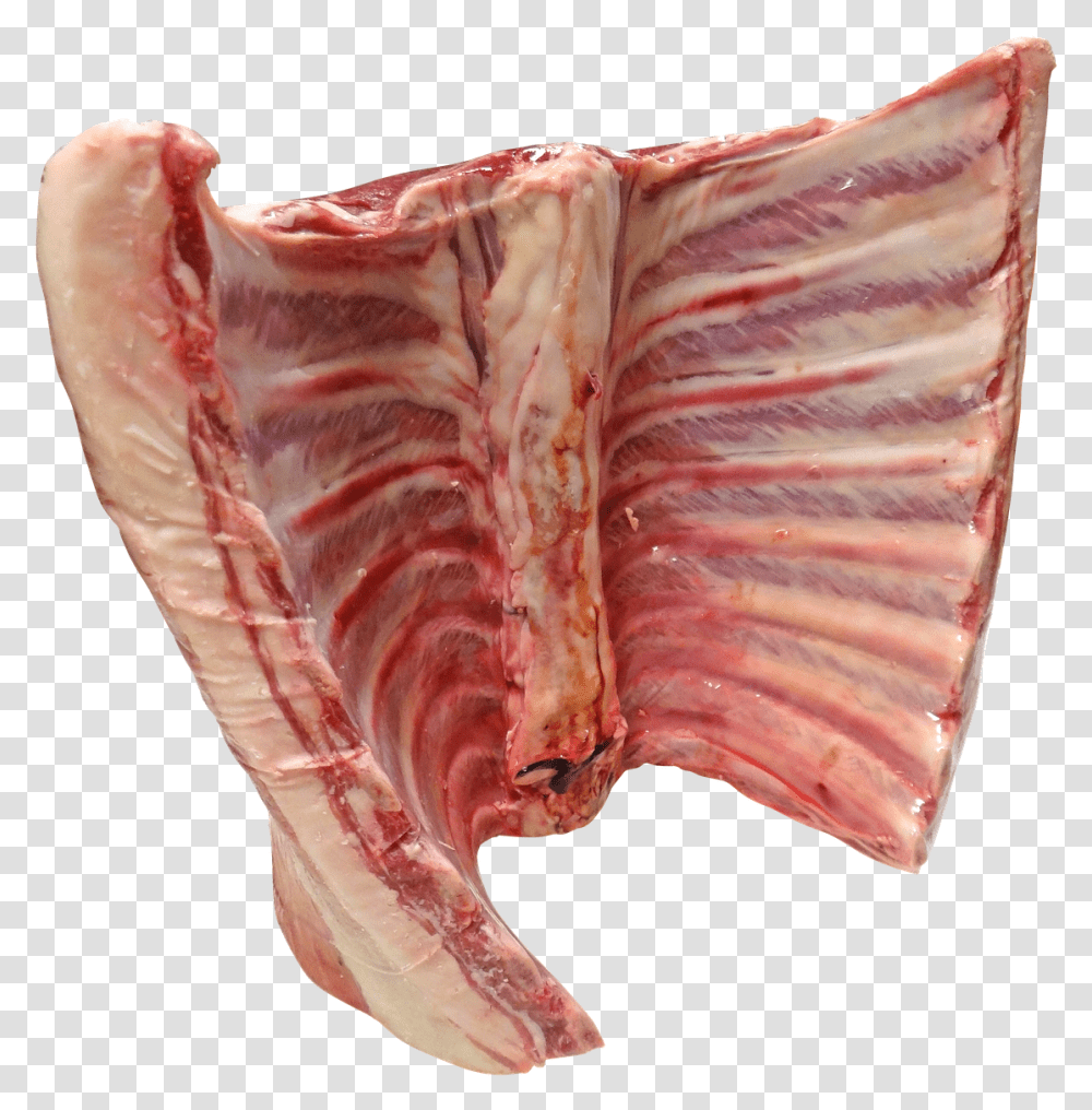 Lamb And Mutton Ribs Raw, Diaper, Animal, Sea Life, Invertebrate Transparent Png