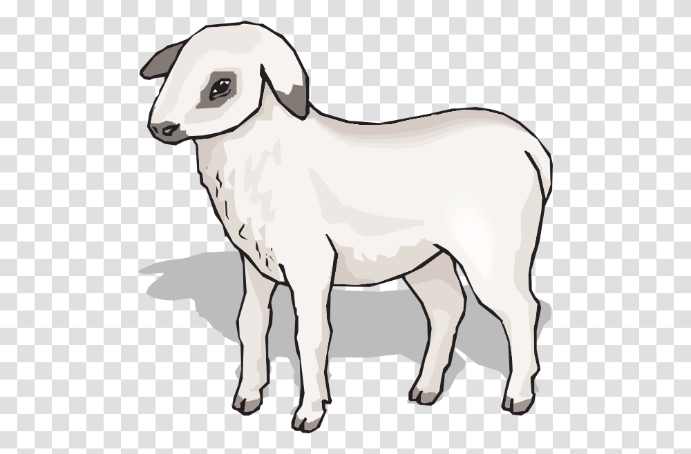 Lamb Clip Arts Download, Animal, Mammal, Goat, Horse Transparent Png