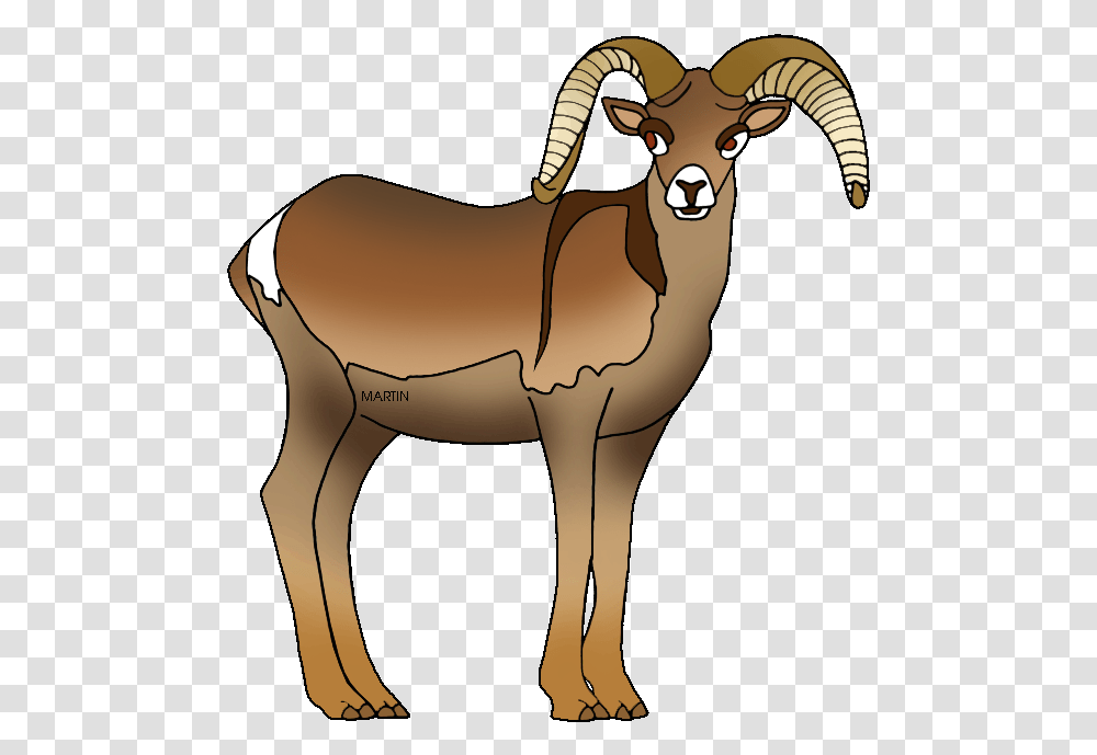 Lamb Clipart Phillip Martin Nevada State Animal Bighorn Sheep, Antelope, Wildlife, Mammal, Gazelle Transparent Png