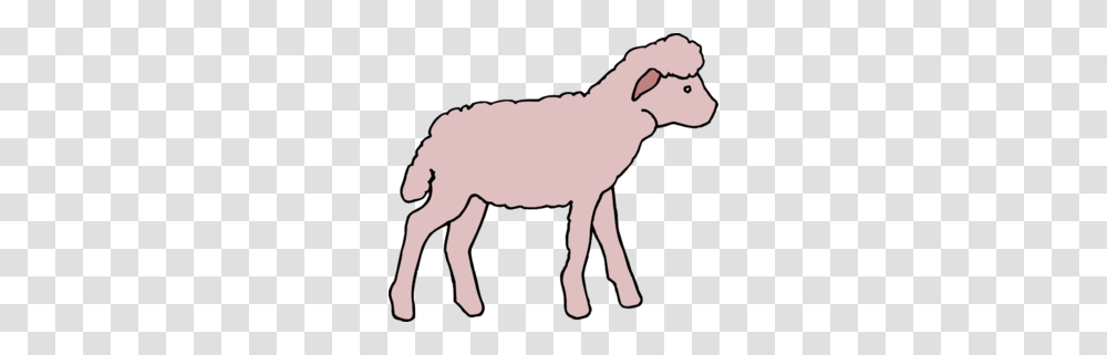 Lamb Clipart Pink Sheep, Mammal, Animal, Donkey, Wildlife Transparent Png