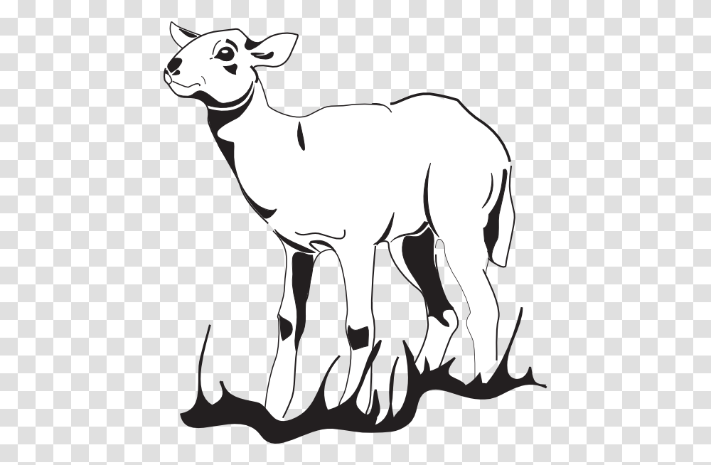 Lamb In The Grass Clip Art, Mammal, Animal, Wildlife, Dog Transparent Png