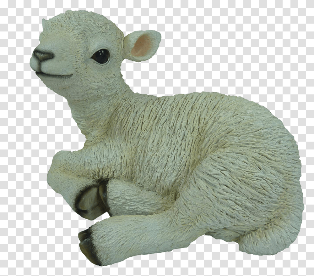 Lamb Pic Lamb, Mammal, Animal, Goat, Sheep Transparent Png