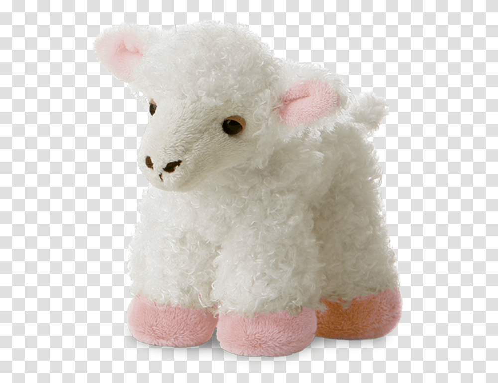 Lamb Stuffed Animal, Plush, Toy, Teddy Bear, Sweets Transparent Png