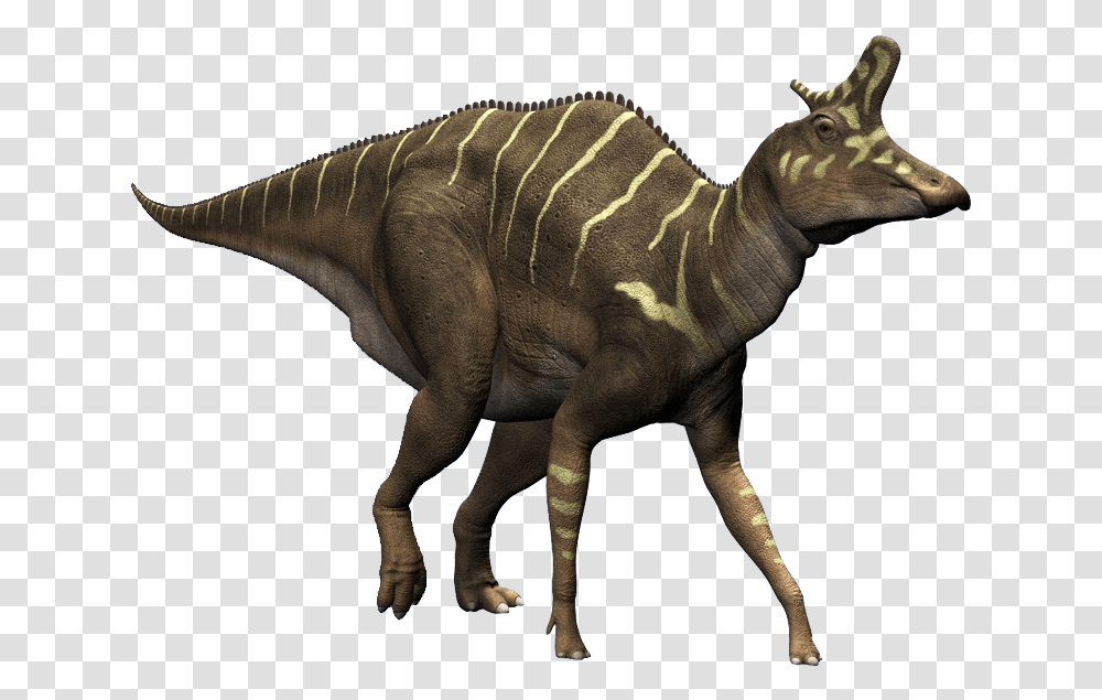 Lambeosaurus, Dinosaur, Reptile, Animal, T-Rex Transparent Png