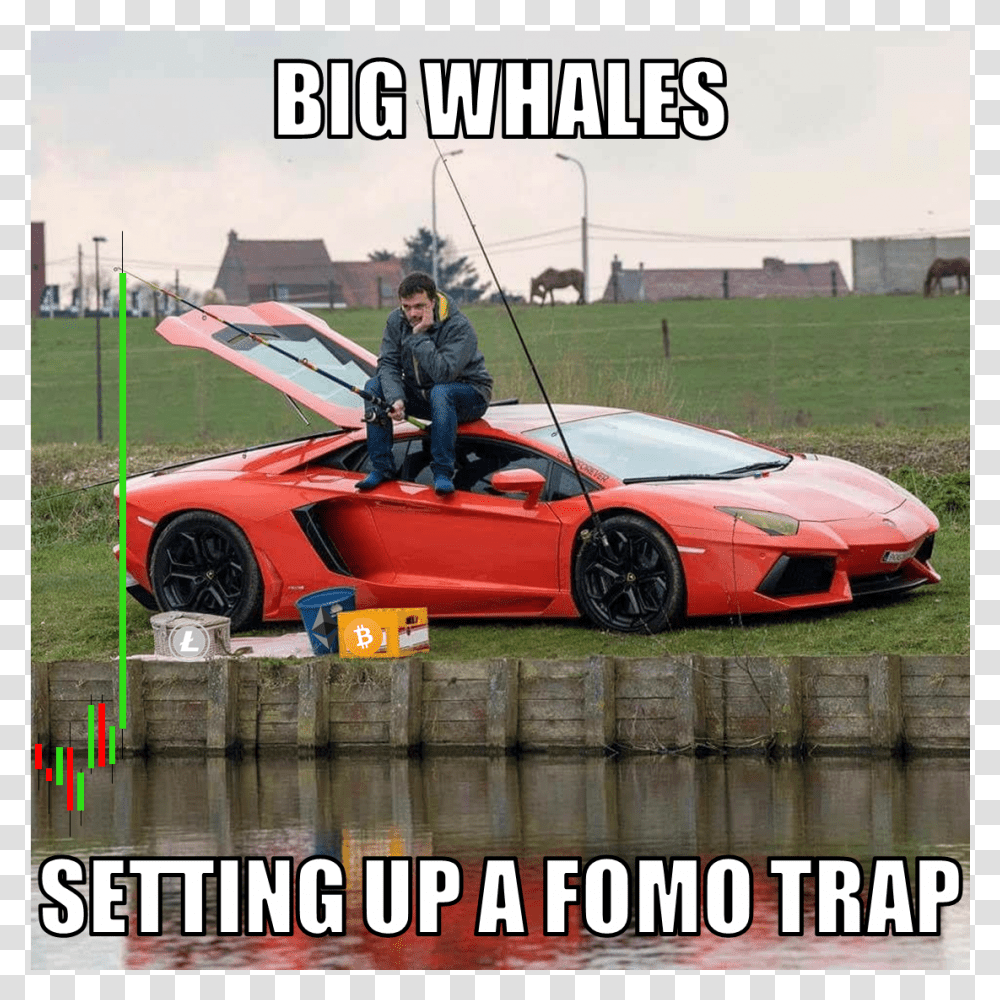 Lamborghini Fishing Meme, Car, Vehicle, Transportation, Person Transparent Png