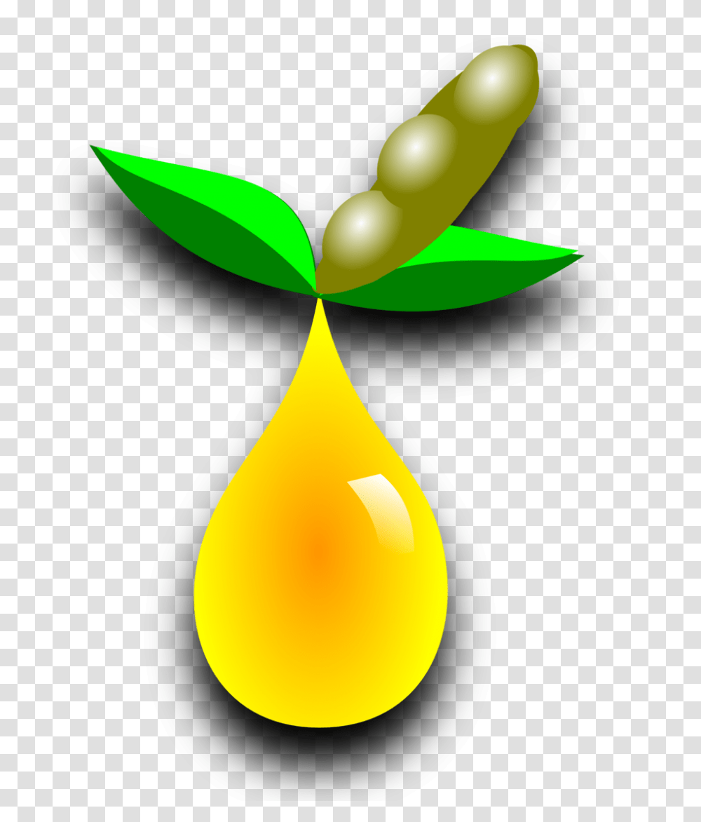 Lamp, Droplet, Plant Transparent Png