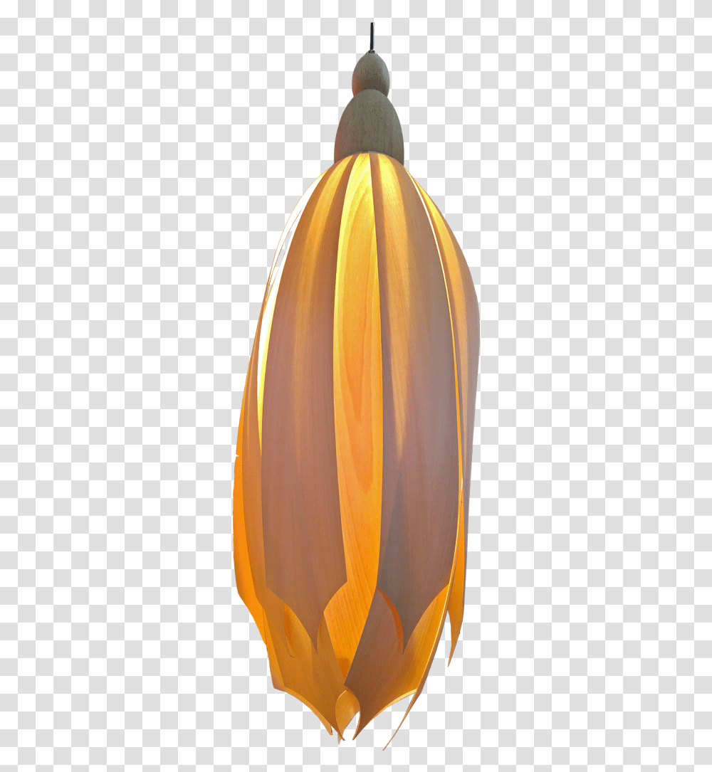 Lamp, Plant, Flower, Petal, Lampshade Transparent Png