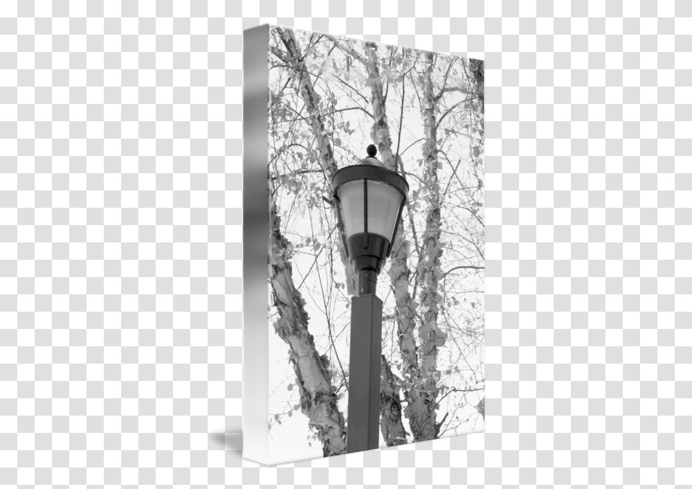 Lamp Post By Scott Coleson Tree, Person, Human, Lampshade, Lantern Transparent Png