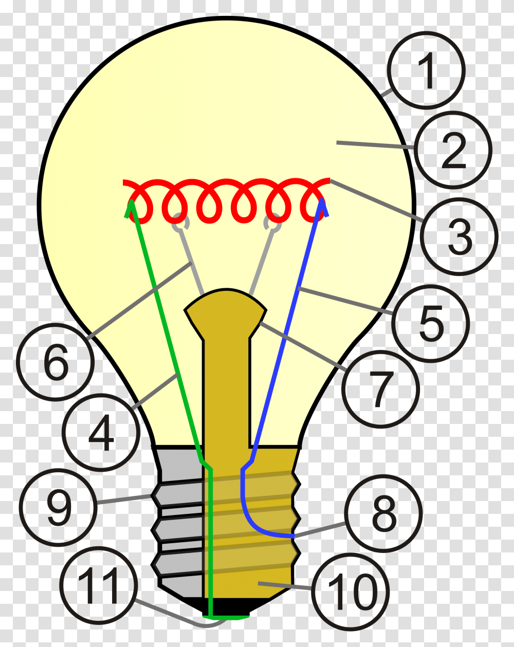 Lampada A Incandescenza Wikipedia Light Bulb Cross Section, Lightbulb, Vehicle Transparent Png