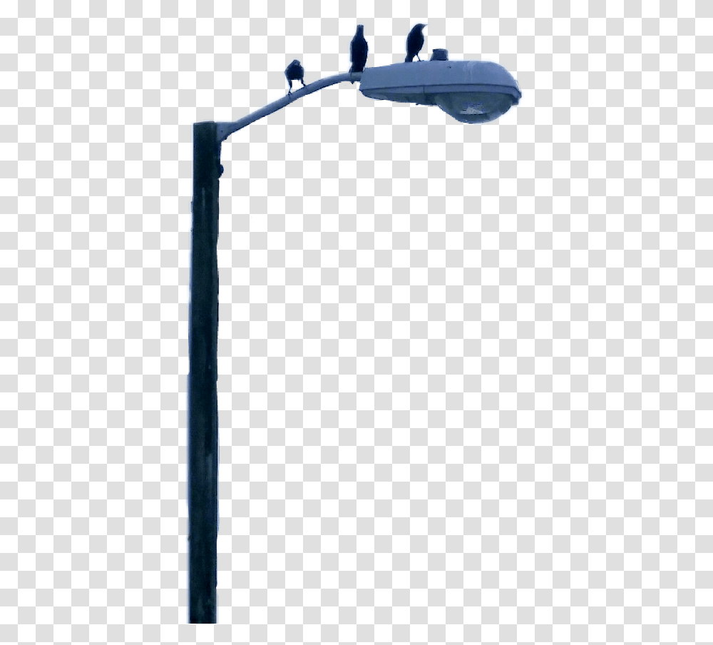 Lamppost Freetoedit Street Light, Bird, Animal, Cross Transparent Png