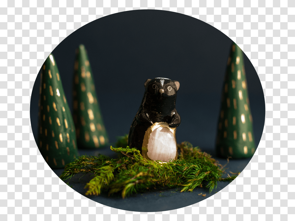 Lampshade, Moss, Plant, Bear, Wildlife Transparent Png