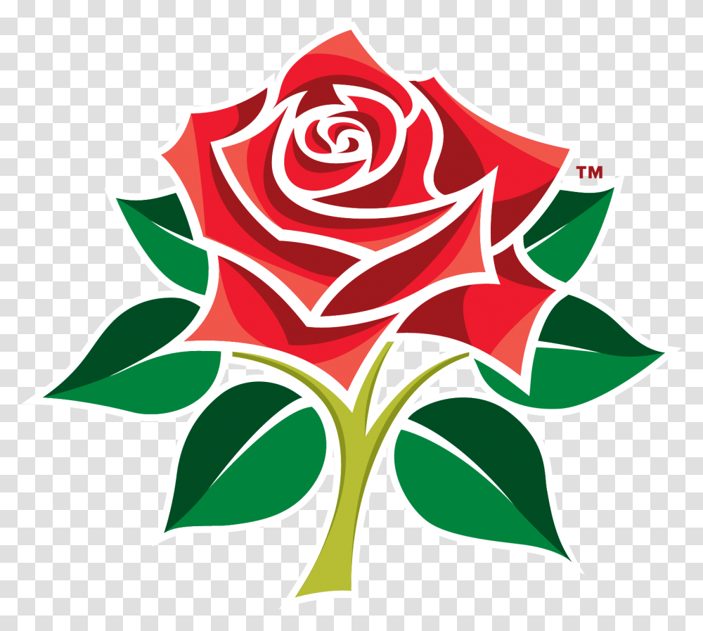 Lancashire Cricket Club, Pattern, Floral Design Transparent Png