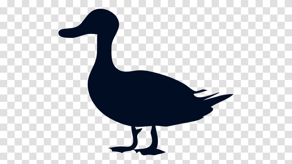 Lance Clipart Collection, Duck, Bird, Animal, Goose Transparent Png