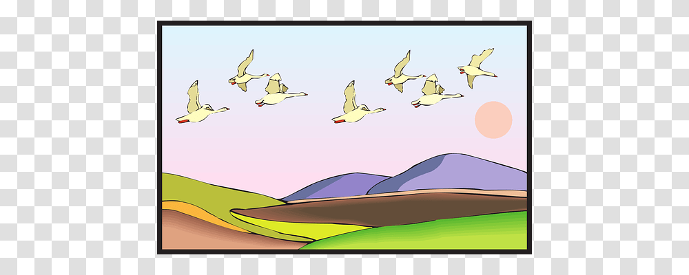 Land Flying, Bird, Animal, Outdoors Transparent Png