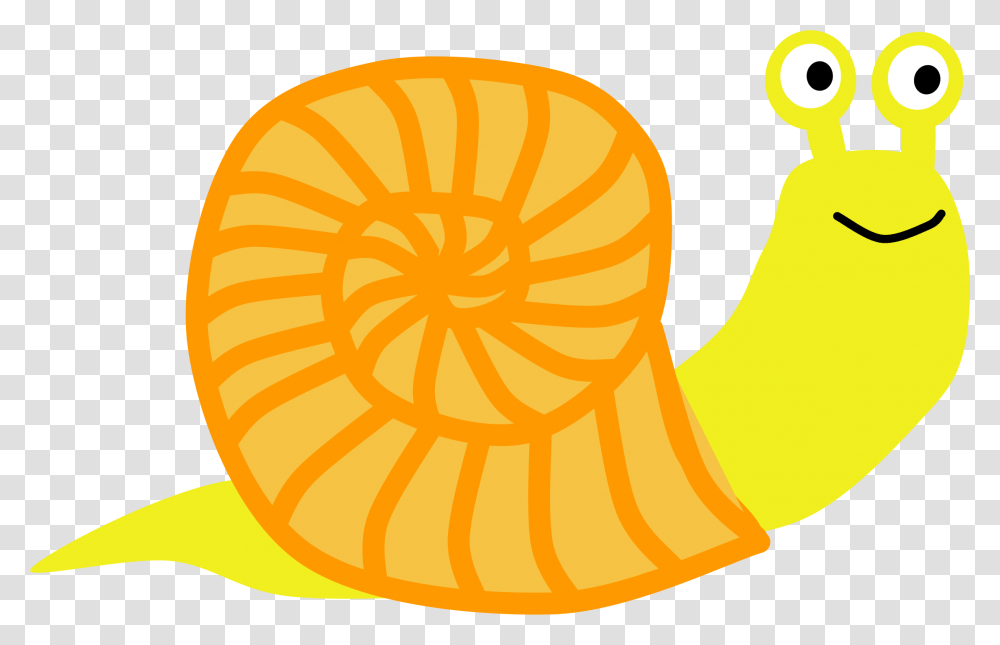 Land Snail Computer Icons Yellow Slug Snail Clipart, Plant, Citrus Fruit, Food, Orange Transparent Png