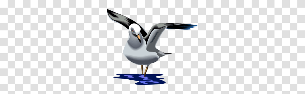 Landing Images Icon Cliparts, Bird, Animal, Puffin, Flying Transparent Png
