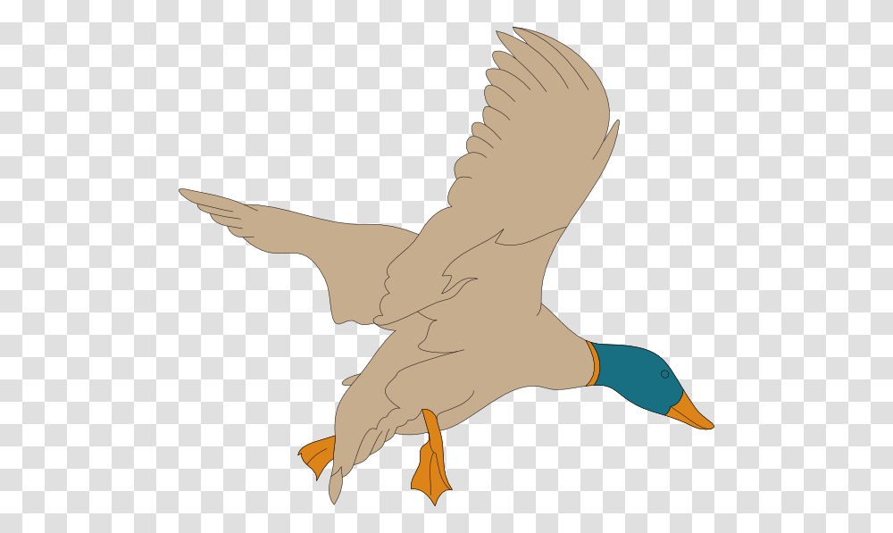 Landing Mallard Svg Clip Arts Wild Duck, Animal, Bird, Goose, Waterfowl Transparent Png