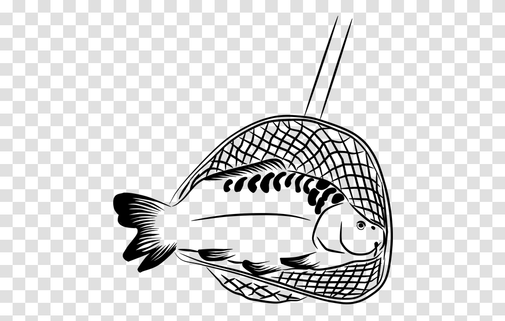 Landing Net Keser Carp Fish Fisherman Harvesting Fish Net Clipart Black And White, Gray, World Of Warcraft Transparent Png