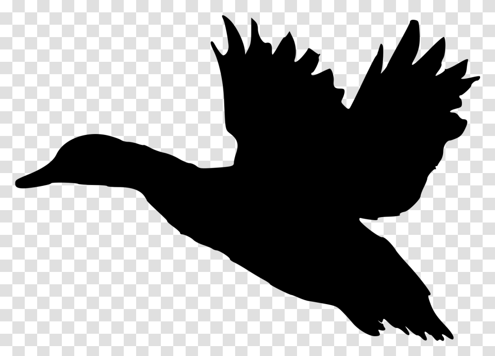 Landing Silhouette At Getdrawings Flying Duck Silhouette, Gray, World Of Warcraft Transparent Png