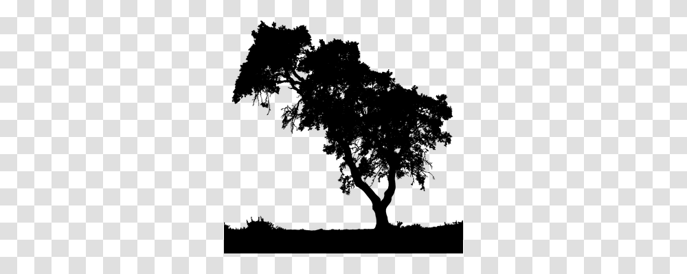 Landscape Nature, Gray, World Of Warcraft Transparent Png