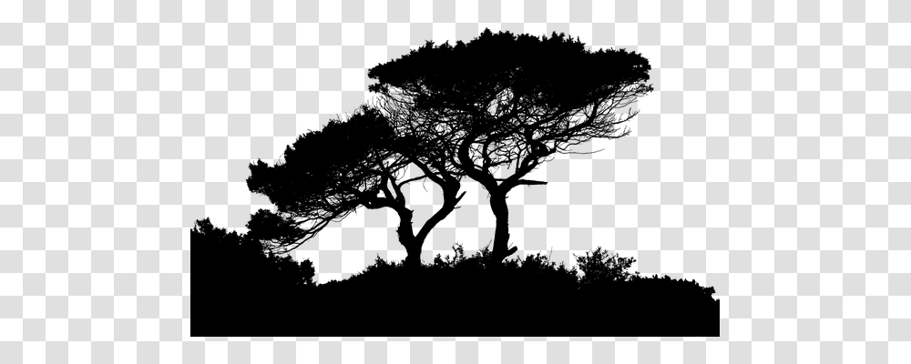 Landscape Nature, Gray, World Of Warcraft Transparent Png