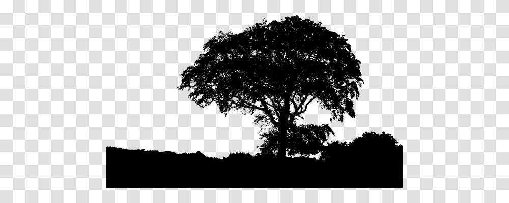 Landscape Nature, Gray, World Of Warcraft Transparent Png