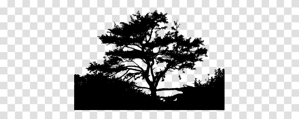 Landscape Nature, Gray, World Of Warcraft Transparent Png