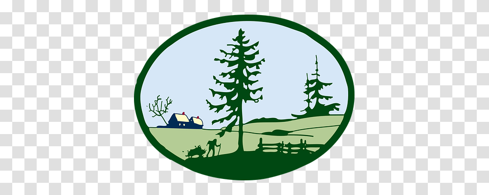 Landscape Nature, Tree, Plant, Fir Transparent Png