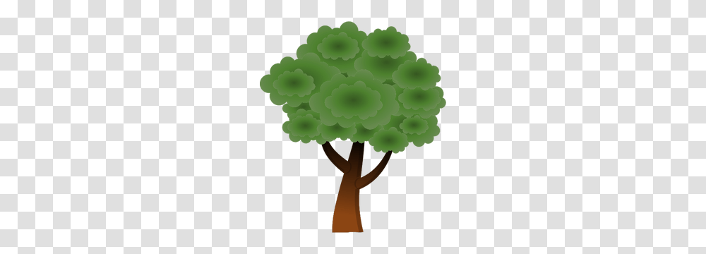 Landscape Clip Art Free Tree Top View, Plant, Pattern, Ornament, Fractal Transparent Png