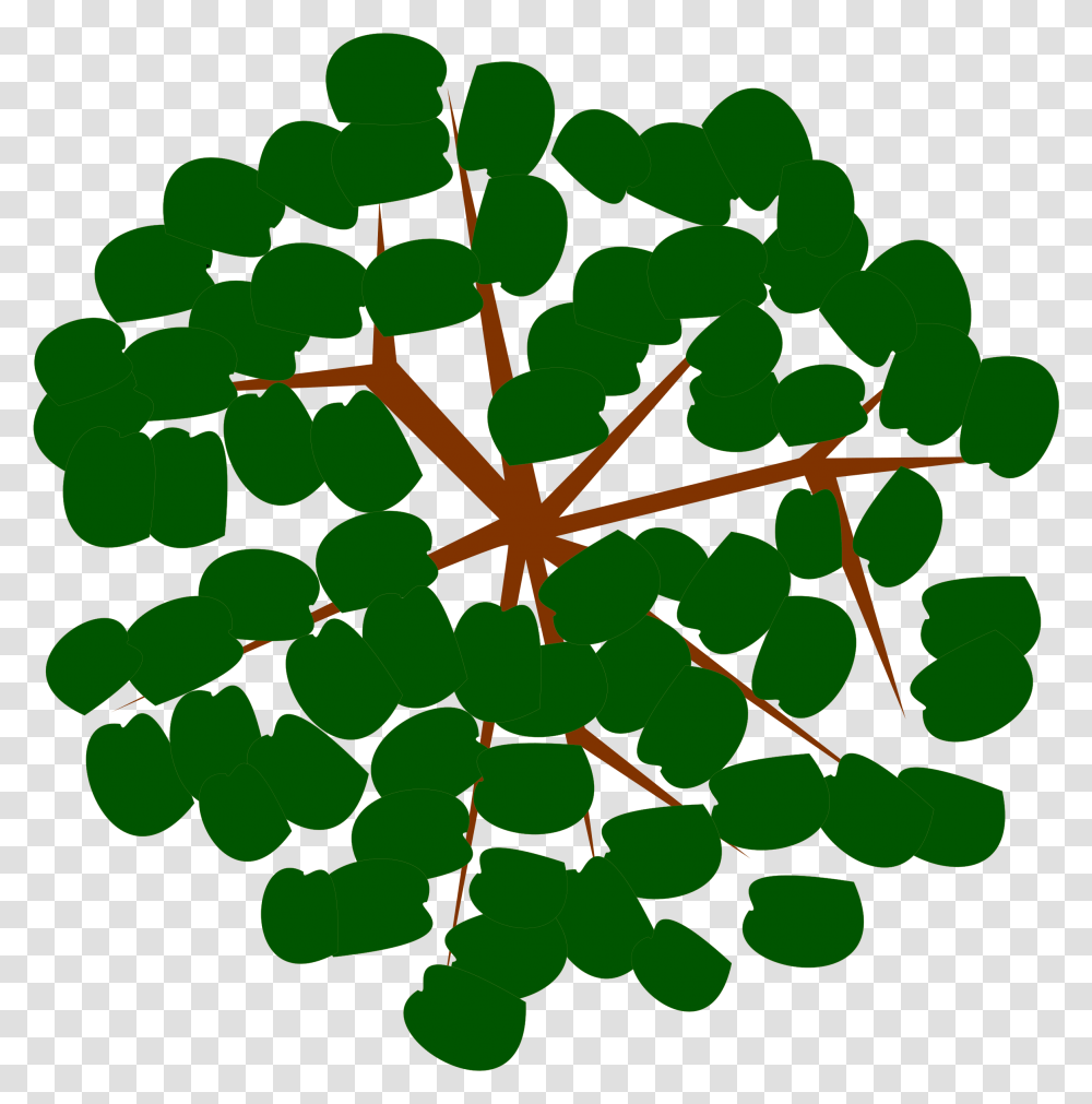 Landscape Clipart Top View Tree, Plant, Green, Leaf, Food Transparent Png