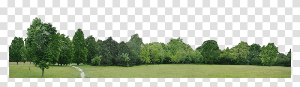 Landscape Trees Background, Grass, Plant, Lawn, Park Transparent Png