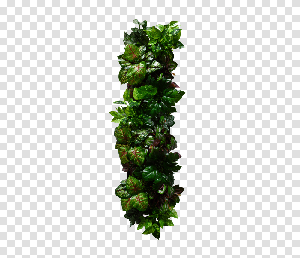Landscaping Artificial Green Wall Home Decor Design Home Decor, Plant, Flower, Blossom, Pineapple Transparent Png