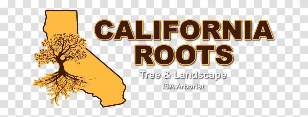 Landscaping Contractor In Modesto Ca California Roots Tree Vertical, Text, Word, Alphabet, Symbol Transparent Png
