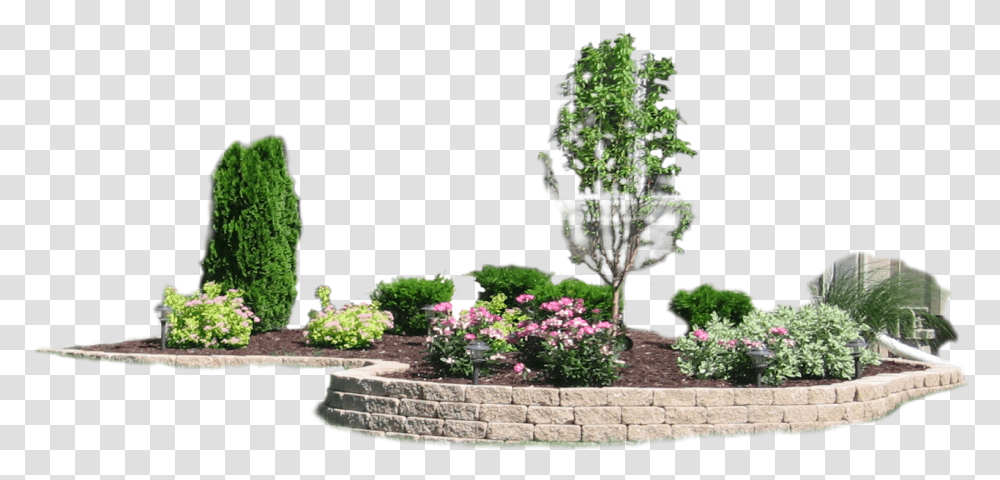 Landscaping, Plant, Outdoors, Potted Plant, Vase Transparent Png