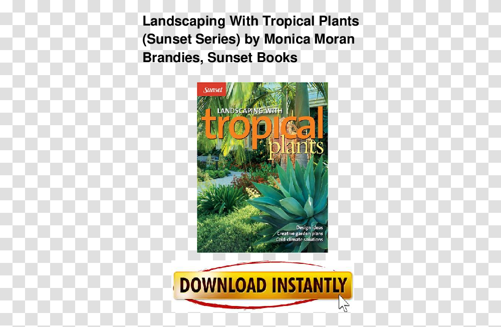 Landscaping Tropical Plants, Vegetation, Bush, Flyer, Outdoors Transparent Png