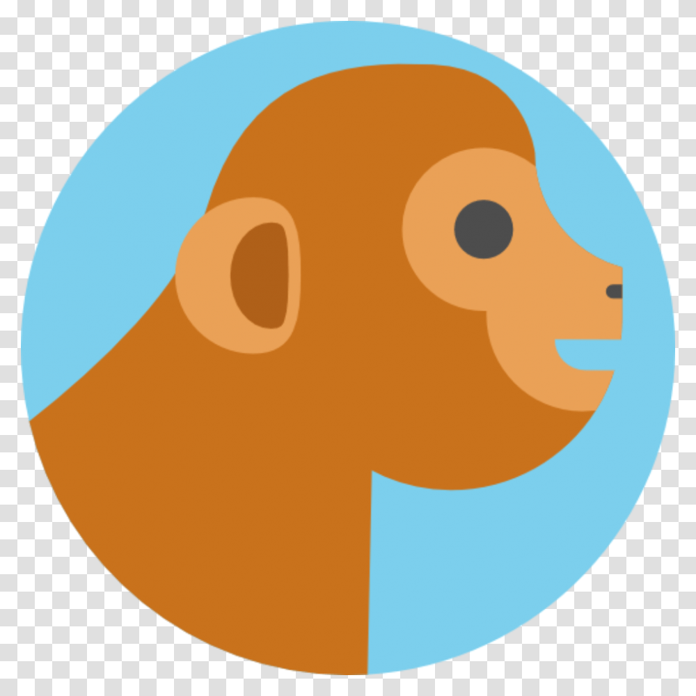 Langur Monkeys In Co Existence With Humans Circle Animals Vector, Face, Head, Smile Transparent Png