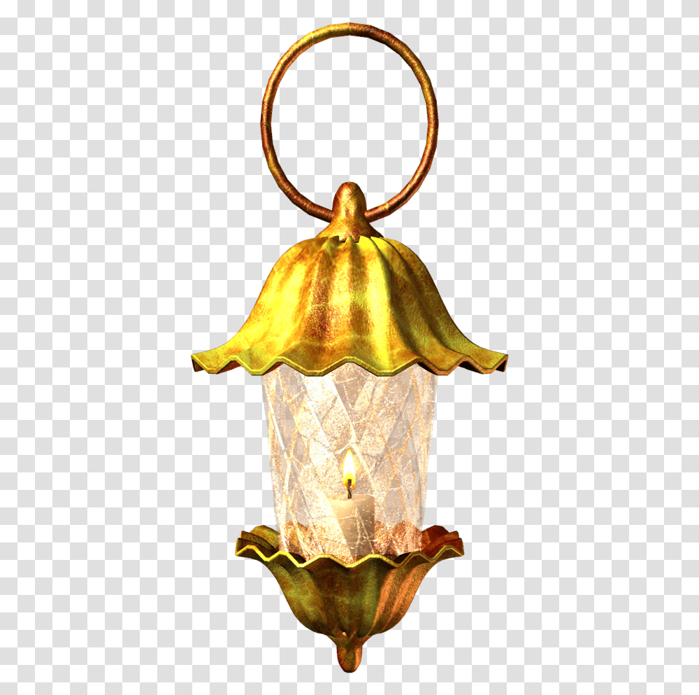 Lantern, Lamp, Lampshade, Plant Transparent Png