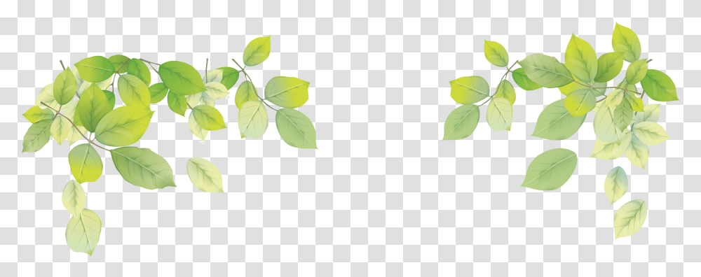 Laptop Leaf Desktop Wallpaper Leaf Leaf Background Images, Plant, Silhouette, Green, Flower Transparent Png