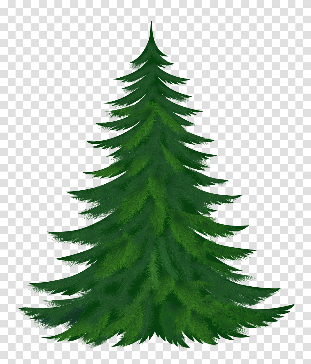 Larch Trees Clipart Transparent Png