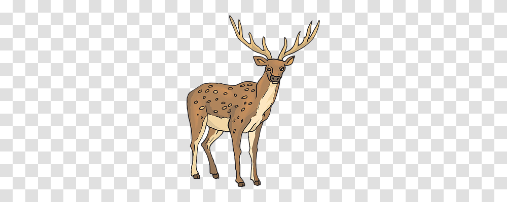 Large Nature, Wildlife, Animal, Mammal Transparent Png