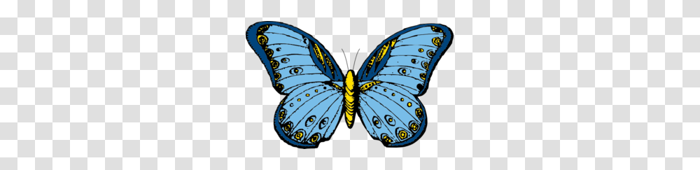 Large Blue Butterfly Clip Art, Pattern, Purple, Ornament Transparent Png