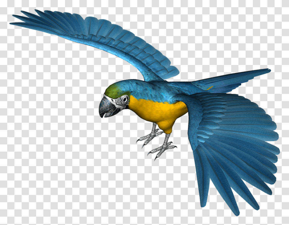 Large Blue Parrot Clipart Parrot Clipart Blue, Bird, Animal, Macaw Transparent Png