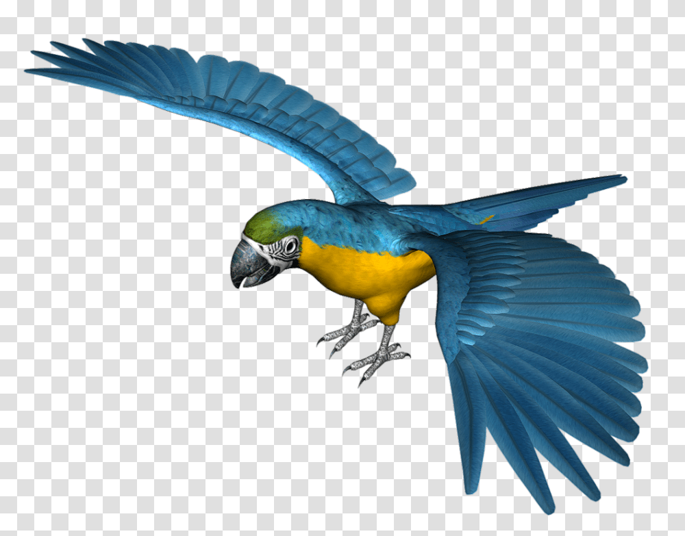 Large Blue Parrot, Macaw, Bird, Animal, Flying Transparent Png