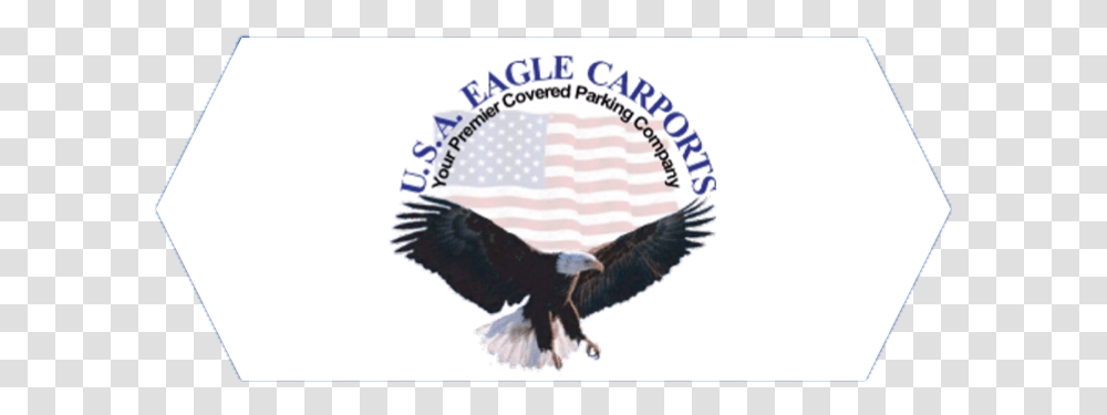 Large Commercial Carport Company Blog, Eagle, Bird, Animal, Bald Eagle Transparent Png
